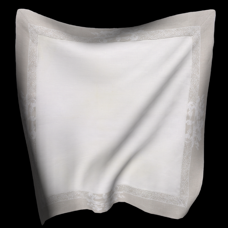 Cloth Simulation